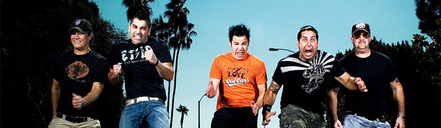 Zebrahead