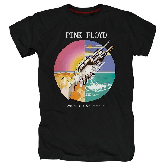 Футболка Pink floyd #22 p_floyd22 - фото 106440