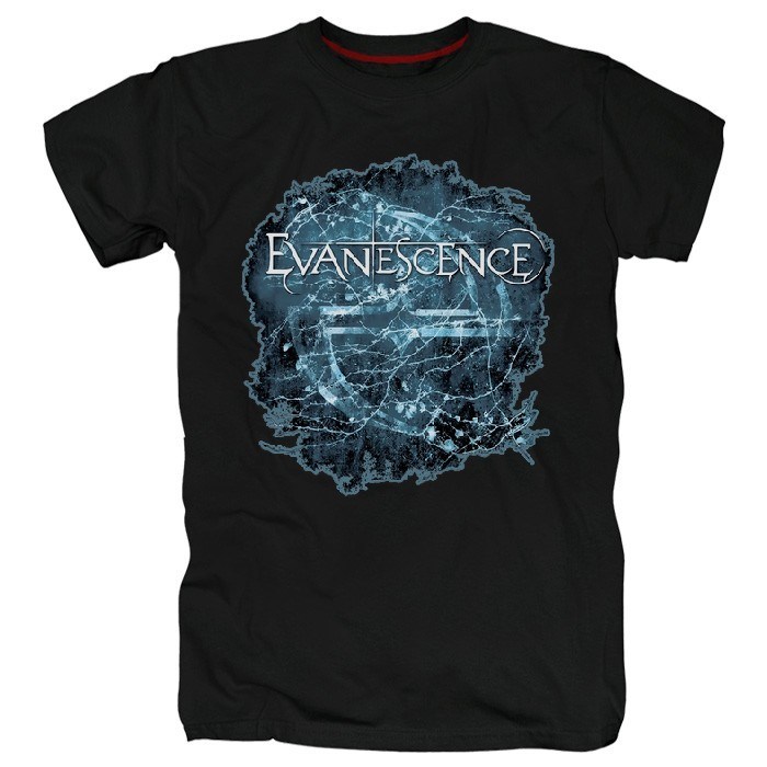 Футболка Evanescence #2 evansc2 - фото 69879