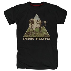 Футболка Pink floyd #16 p_floyd16