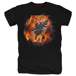 Футболка Accept #16 accept16