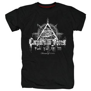 Carpathian forest #3