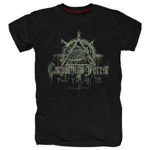 Carpathian forest #4