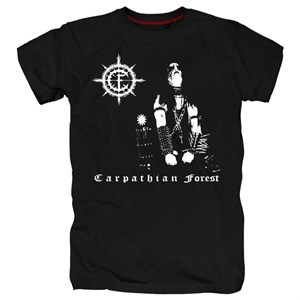 Carpathian forest #8