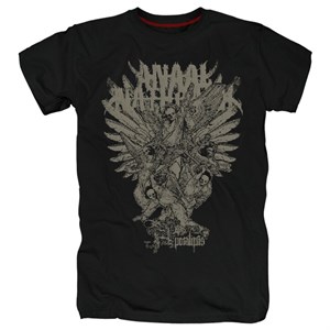 Футболка Anaal nathrakh #11 anaal11