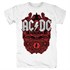 AC/DC #1 - фото 183327