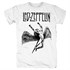Led Zeppelin #55 - фото 245038